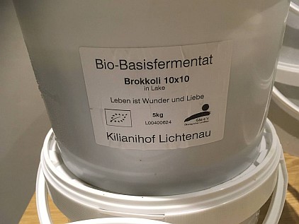 Basis-Fermentat Brokkoli